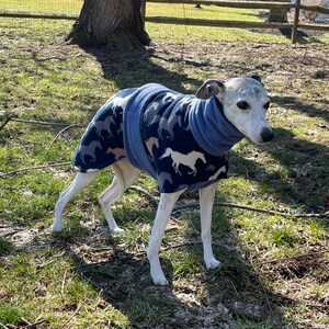 gidget whippet coats