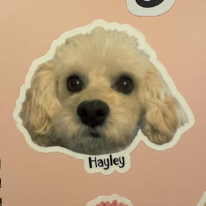 Kari added a photo of their purchase