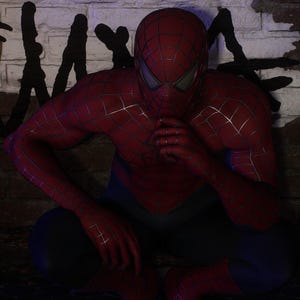 カスタマイズされたサム・ライミのスパイダーマンマスクコスプレ