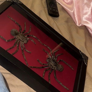 Gizel added a photo of their purchase
