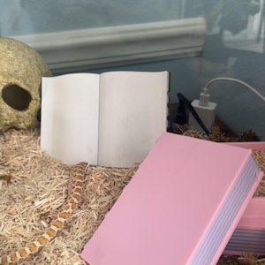 amber added a photo of their purchase