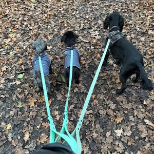 Georgie added a photo of their purchase