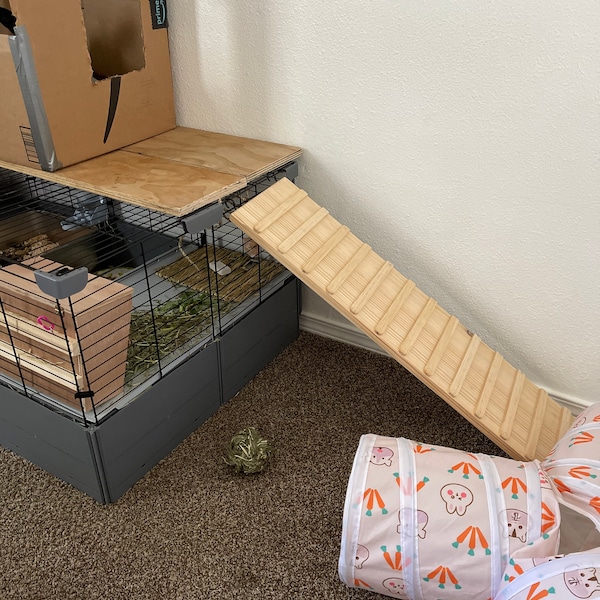 Critter Ramp Indoor Critter Ramp: Pine Wood, Treaded, With Sides - Etsy