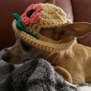 Dawn added a photo of their purchase