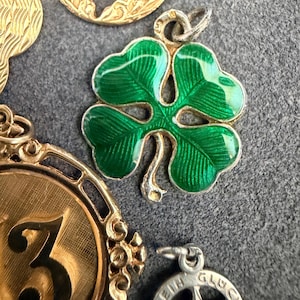 Lara added a photo of their purchase