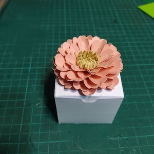 claudia added a photo of their purchase