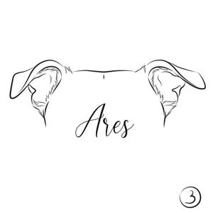 Comprador de Etsy ha añadido una foto de su compra