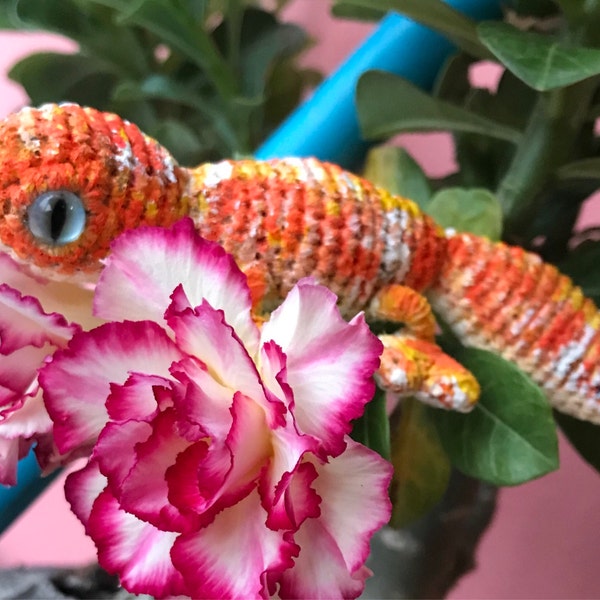 Pattern Gecko Crochet DIY Tutorial in English - Etsy