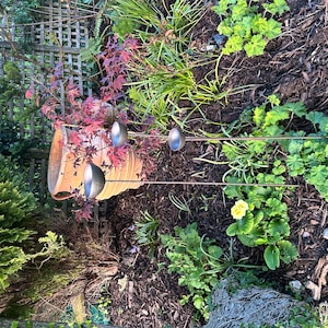 Gill added a photo of their purchase