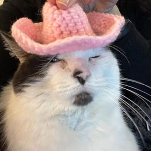 Amy hat ein Foto des gekauften Artikels hinzugefügt