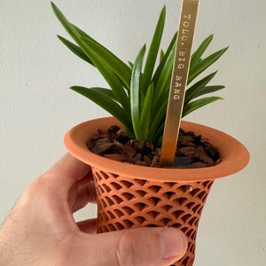 Andres added a photo of their purchase