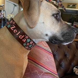 Marine Corps Dog Collar USMC Dog Collars Black Collar | Etsy