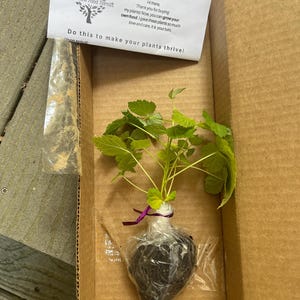 David added a photo of their purchase
