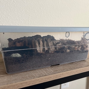 FUJOFOUREVER added a photo of their purchase
