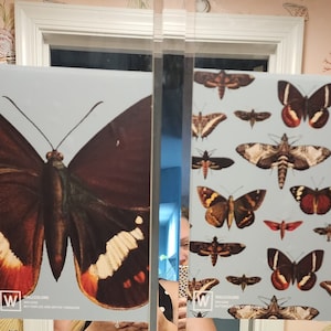 Stephanie added a photo of their purchase