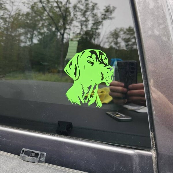 Toy Poodle Keyring Key Chain Dog Design Acrylic Keychain Back to School