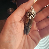 Raccoon Penis Bone Earrings raccoon Baculum LONG 3 5 4 sterling raccoon-penis-bone-earrings-raccoon-baculum-long-3-5-4-sterling