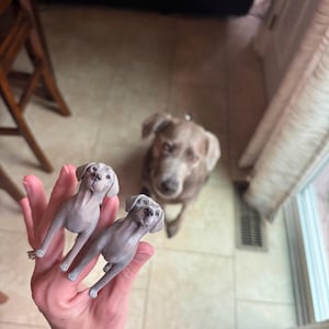 Drew added a photo of their purchase