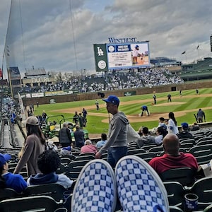 Ilene added a photo of their purchase