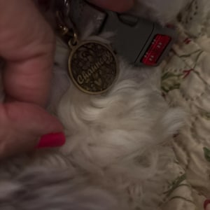 Paula added a photo of their purchase