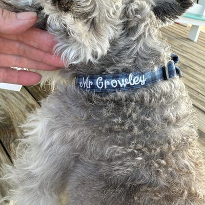 Blue Floral Dog Collar, Embroidered Dog Collar, Personalized Dog Collar ...