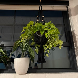 Scott added a photo of their purchase