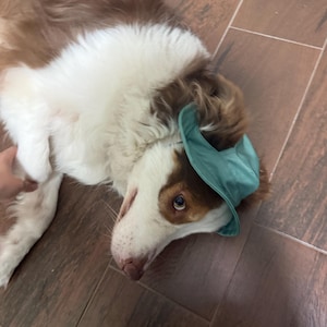 Madeline heeft een foto van de aankoop toegevoegd