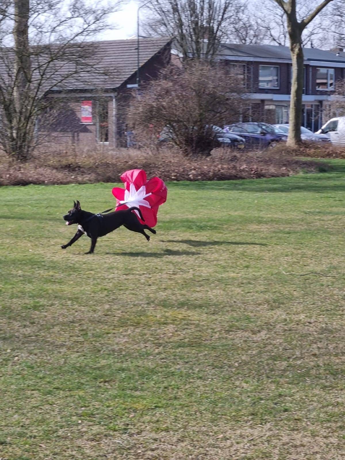 Firepaw Running resistance Chute for Dogs