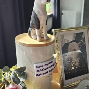 Amanda added a photo of their purchase