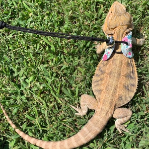 Allyson added a photo of their purchase