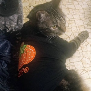Jo a ajouté une photo de son achat