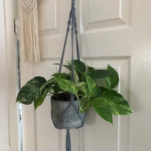 sarah added a photo of their purchase