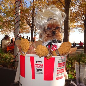 Dog Costume Halloween Costume for Dog Cat Costume Coffee Barista