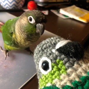green cheek conure plush