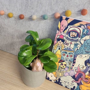 Jasmine added a photo of their purchase