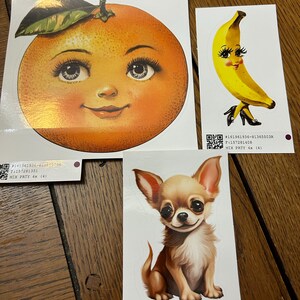 Teresa a ajouté une photo de son achat