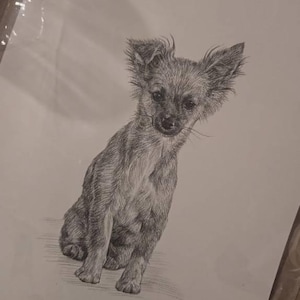 Bianca added a photo of their purchase