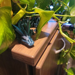 Susan added a photo of their purchase