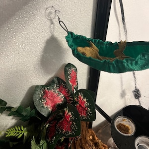 Amy added a photo of their purchase