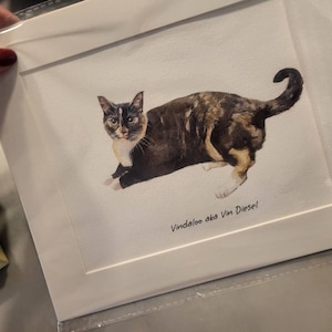 Madison added a photo of their purchase