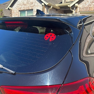 rhys added a photo of their purchase