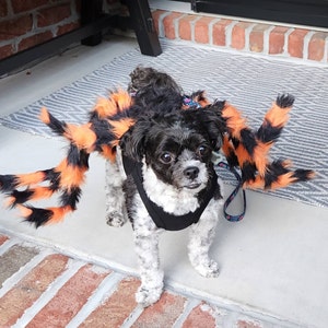 Joan added a photo of their purchase