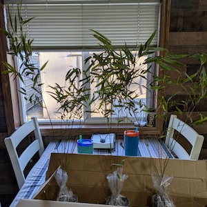 Tara added a photo of their purchase