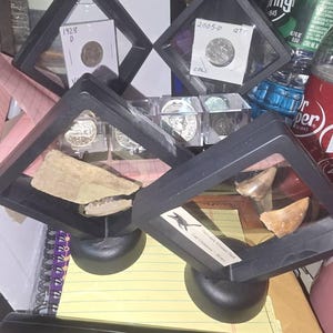 Nancy added a photo of their purchase