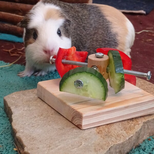 Guinea Pig Twister Feeder Toy, Guinea Pig Wheel, Guinea Pig Food Holder ... - Supplementing Rotating Guinea Pig Hampster Food