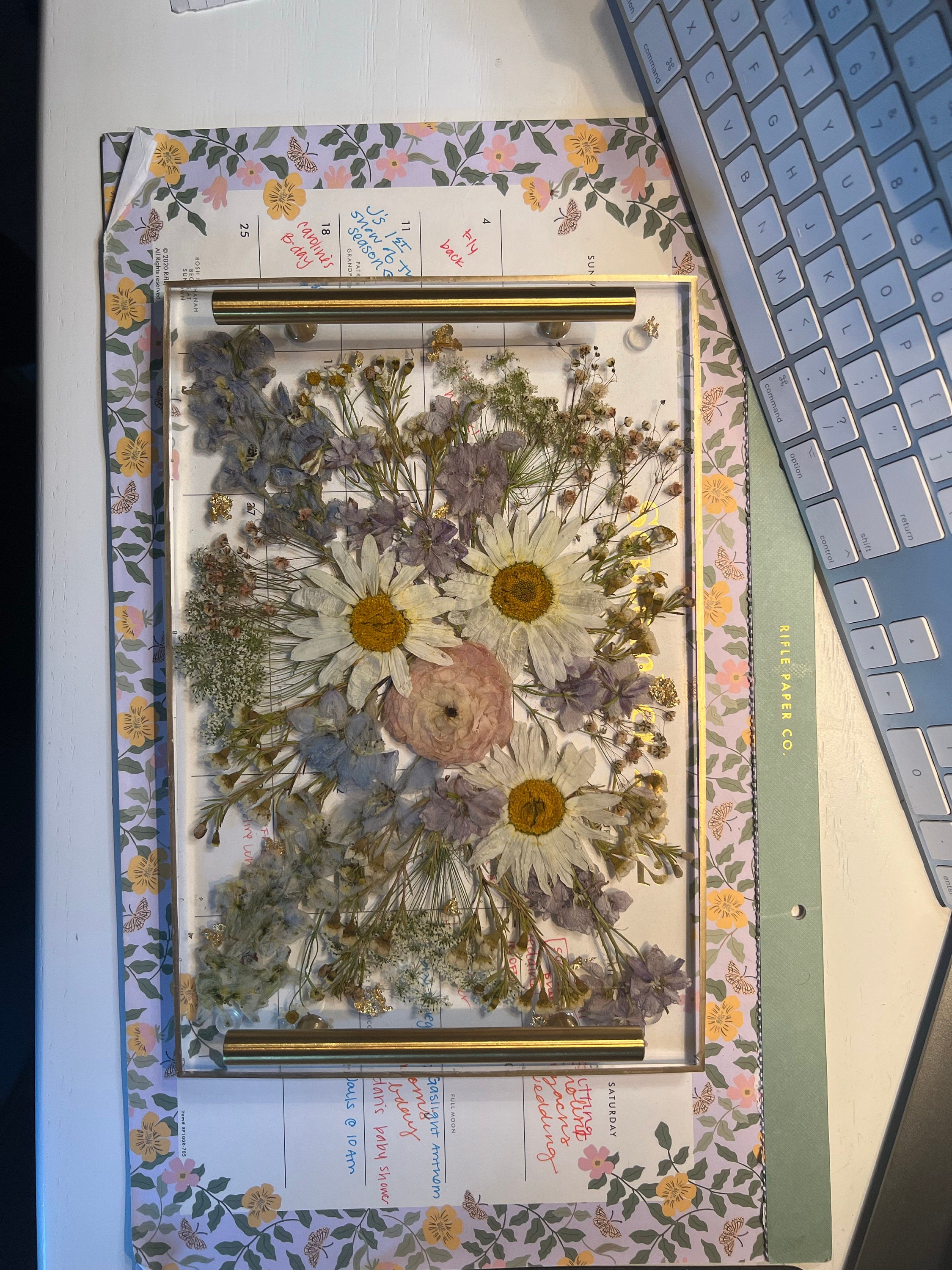 Preserved flowers from Gina's etsy review