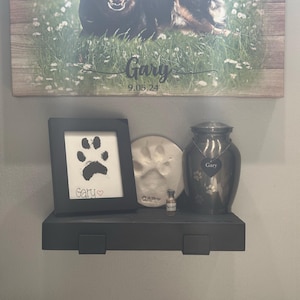 Inactive account added a photo of their purchase