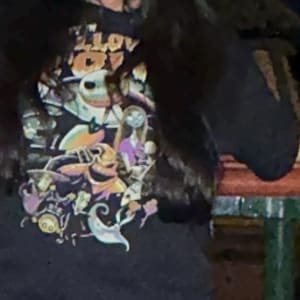 Gicell dodał(a) zdjęcie swoich zakupów