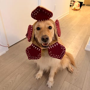Chapeau Démogorgon Halloween Pour Chien - Design Floral Réglable, Doux Et Respirant, Pour Fêtes Et Photos (taille Unique)