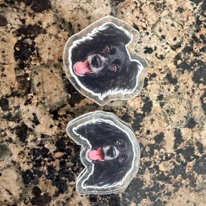 Yael added a photo of their purchase